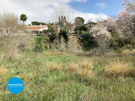 Terreno Urbanizable En venta en Calle Tomillar, 1, Altos De Jarama, Paracuellos De Jarama photo 0