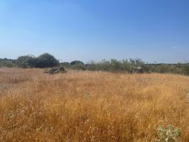 Terreno Urbanizable En venta en Valdemorillo Pueblo, Valdemorillo photo 0