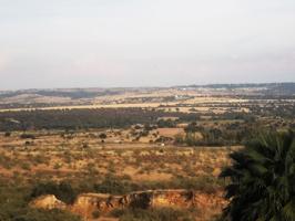 Terreno Urbanizable En venta en Pino Alto - Navarredonda, Valdemorillo photo 0