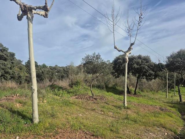 Terreno Urbanizable En venta en Cerro Alarcón, Valdemorillo photo 0