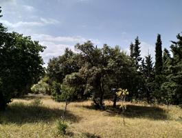 Terreno Urbanizable En venta en Pino Alto - Navarredonda, Valdemorillo photo 0