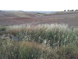 TERRENO URBANIZABLE EN TRANSFORMACION EN TORTOLA DE HENARES, GUADALAJARA photo 0