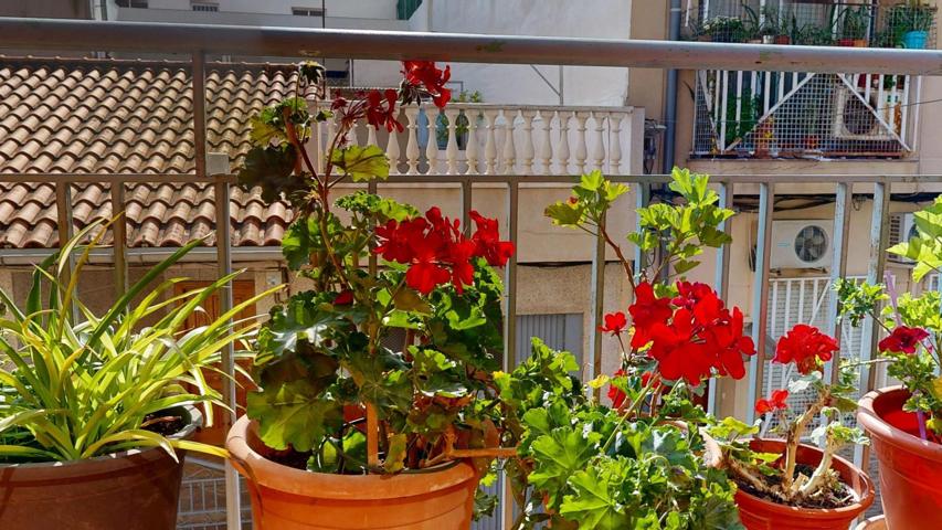Una casa con alma, lista para crecer contigo photo 0