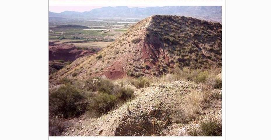 Terreno Urbanizable En venta en Poligono 14, 0, Agost photo 0