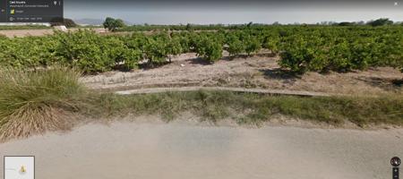 Campo de naranjos plantado de lanelate de 4100 m2 photo 0