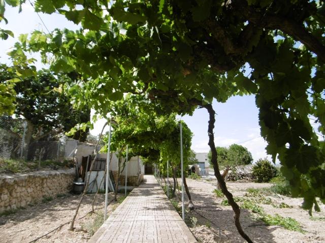 Casa En venta en Ayuntamiento, Yecla photo 0