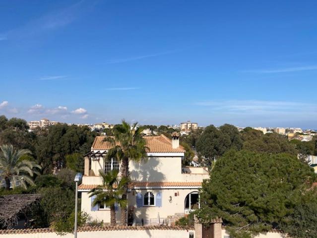 Casa En venta en Lomas De Cabo Roig, Orihuela Costa photo 0