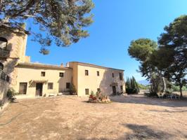 Casa De Campo En venta en Comunidad Valenciana, Monovar - Monover photo 0