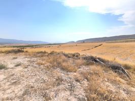 Casa De Campo En venta en Jumilla, Jumilla photo 0