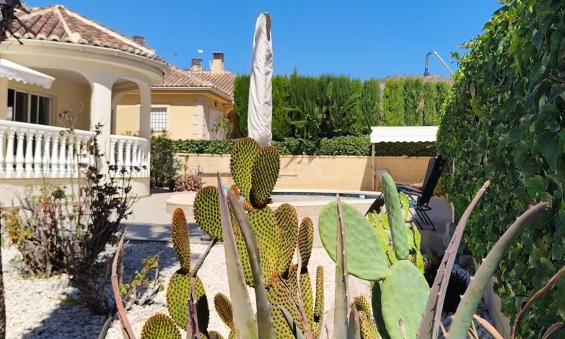 Casa En venta en Comunidad Valenciana, La Romana photo 0