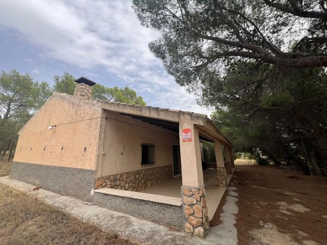 Casa De Campo En venta en Jumilla, Jumilla photo 0