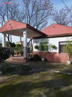 PARCELA EN ZONA CAMINO VIEJO DE ALMODOVAR CON PISCINA Y TERRENO DE 3000m2 - 250.000€ - photo 0