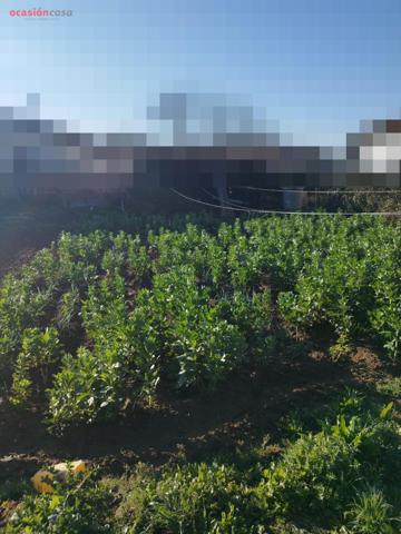TERRENO DE 500M2 EN ZONA LA PERLA II     - 19.500€ - photo 0