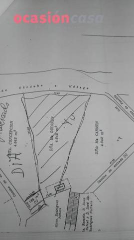 Terreno Urbanizable En venta en Montilla, Montilla photo 0