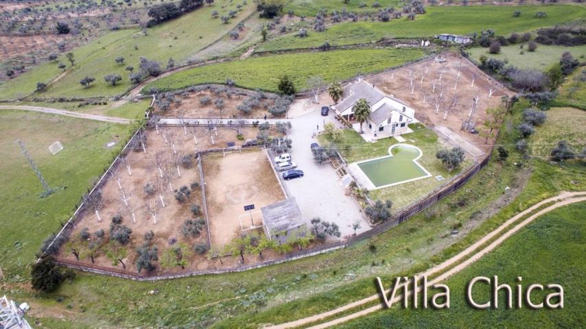 ESPECTACULAR CHALET CON PISCINA Y TERRENO photo 0