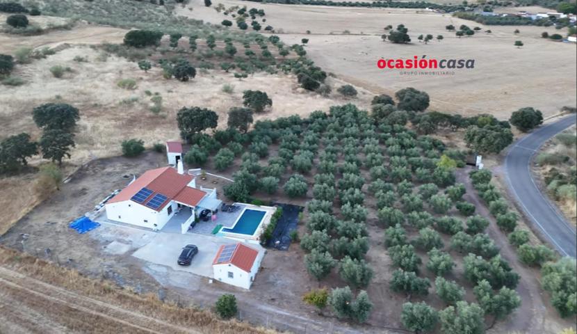 PARCELA CON CASA REFORMADA, PISCINA Y OLIVOS photo 0