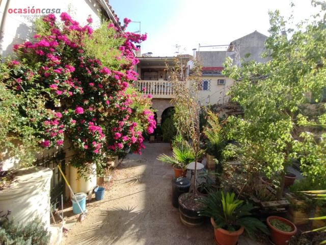 Preciosidad en San Agustín. photo 0
