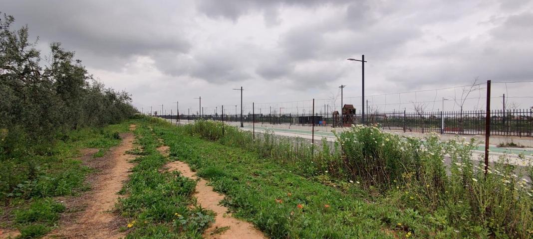 Terreno Urbanizable En venta en Camino Río Pudio, 41, Bulevard Norte, Mairena Del Aljarafe photo 0