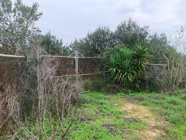 Terreno Urbanizable En venta en 1, Parcela: 24; Paraje: 193, Aznalcazar, 0, Aznalcazar photo 0
