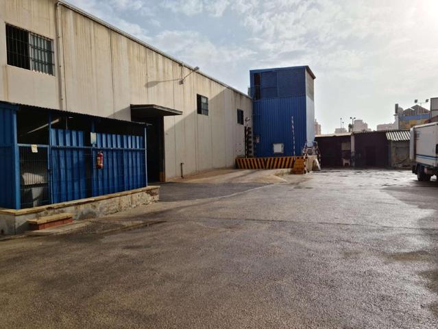 Nave Industrial con 4.000 m2 de Parcela en Torrevieja photo 0