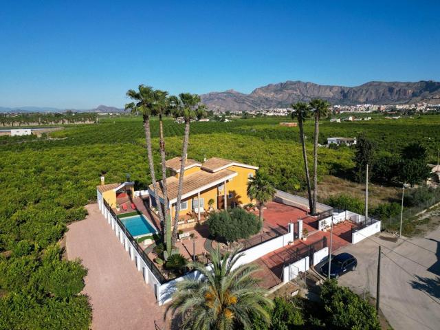 🏡 Exclusivo chalet en Correntías Medias (Orihuela) con finca privada de 9.480 m² photo 0