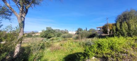 Conjunto de tres terrenos urbanos en Sa Cabaneta, Marratxí photo 0