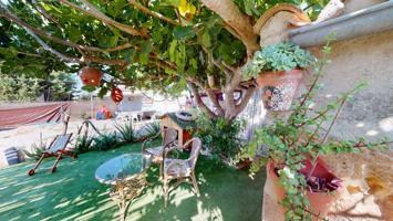 Finca rústica con safareig en Búger, Mallorca photo 0
