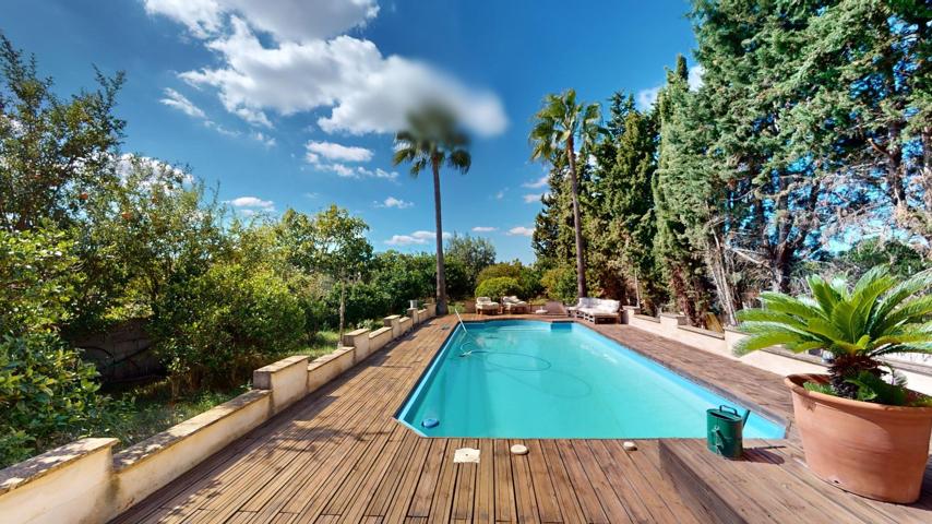 Casa con piscina y vistas panorámicas en Algaida, Mallorca photo 0