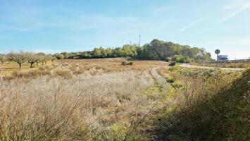 Terreno agrícola en Sant Joan, Mallorca photo 0