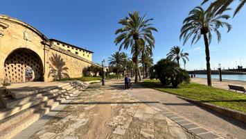 Apartamento único en el casco antiguo de Palma, zona Sa Calatrava photo 0