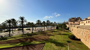 Apartamento único en el casco antiguo de Palma, zona Sa Calatrava photo 0