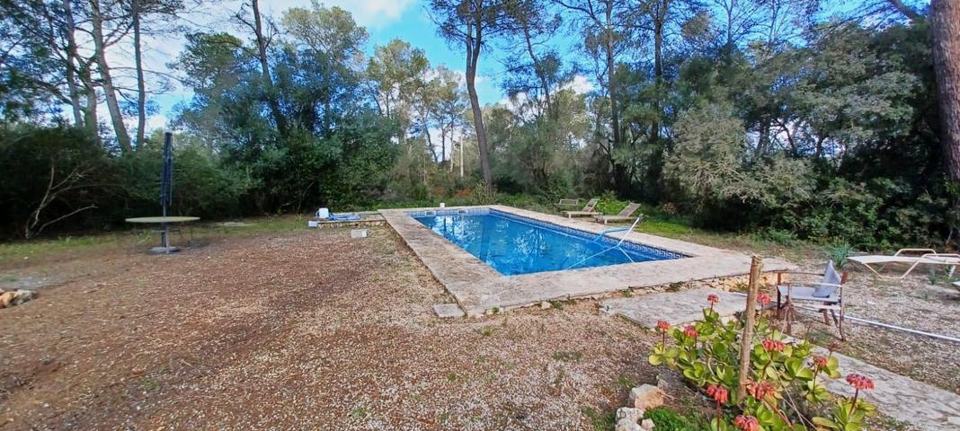 Finca rústica con piscina y licencia turística en Sencelles – naturaleza, confort y rentabilidad photo 0