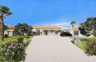Proyecto de una casa de planta baja lujosa y piscina photo 0