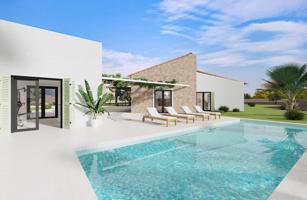 Proyecto de una casa de planta baja lujosa y piscina photo 0