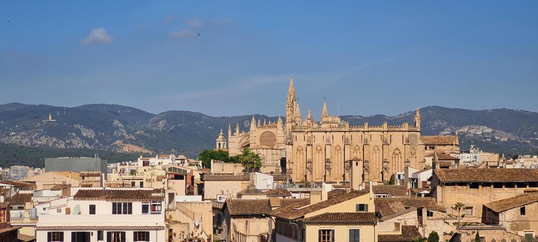Vistas de ensueño a solo 100 metros del mar en Palma photo 0