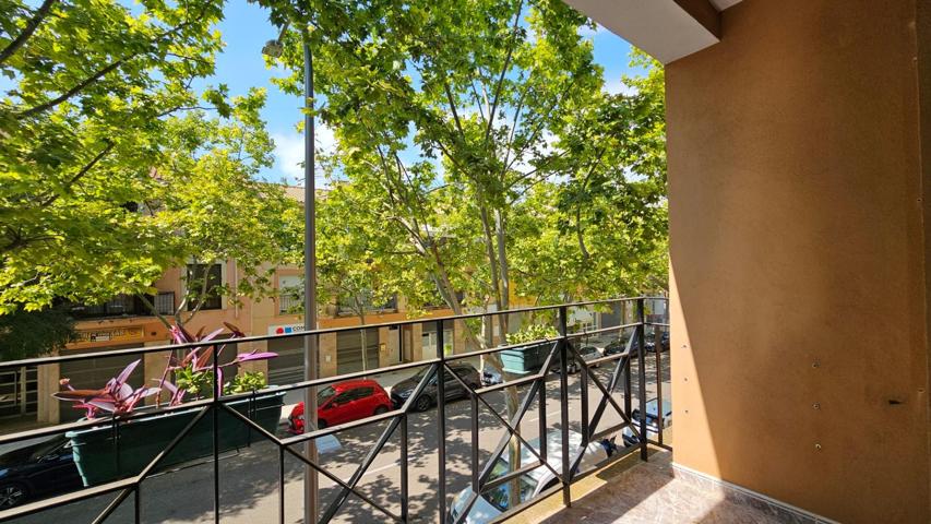 Piso reformado de 3 dormitorios en venta en Secar de la Real, Palma de Mallorca photo 0