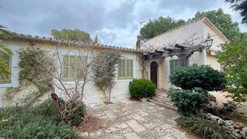 Casa rodeada de vegetación a pocos metros del mar, Puerto de Pollensa Mallorca photo 0