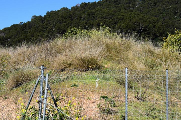 Parcela para construir dos viviendas unifamiliares en Alaró photo 0