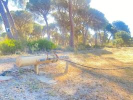 Terreno Urbanizable En venta en El Rincón, Punta Umbria photo 0