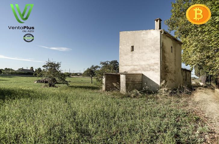 Finca Rústica en Campanet (con Agua, Luz y Pozo) photo 0