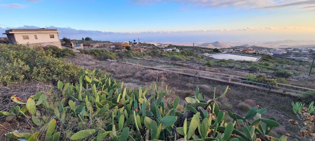 TINERCASA tiene disponible para ti, esta magnífica finca rústica en San Miguel de Abona photo 0