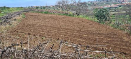 TINERCASA TIENE DISPONIBLE EN RAVELO, EL SAUZAL: MAGNÍFICA FINCA RÚSTICA photo 0