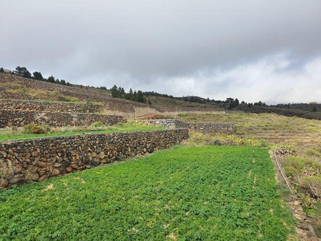 TINERCASA TIENE DISPONIBLE PARA TI, ESTA FINCA RÚSTICA EN SAN MIGUEL photo 0
