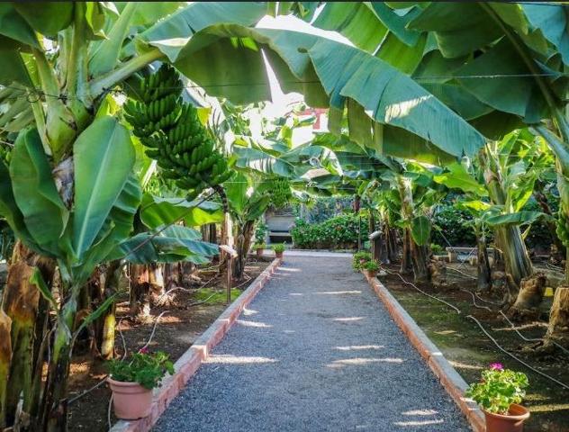 TINERCASA te brinda fantástica oportunidad! VILLA DE LUJO CON FINCA EN EXPLOTACIÓN photo 0