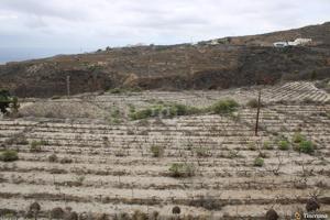 TINERCASA tiene disponible para ti esta oportunidad Única en El Escobonal, Güimar photo 0