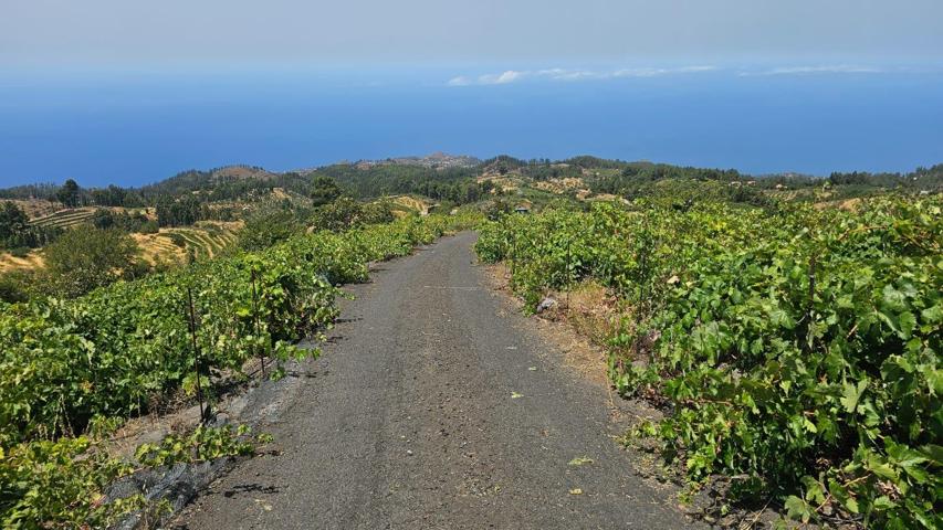TINERCASA TIENE DISPONIBLE EN PUNTA GORDA, MAGNÍFICA FINCA RÚSTICA photo 0