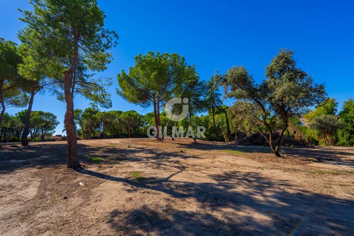 Chalet - Chalet Independiente - La Moraleja photo 0