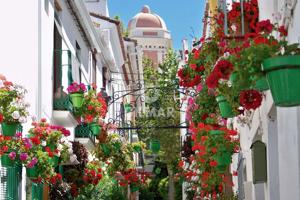 Piso - Apartamento - Estepona Pueblo photo 0