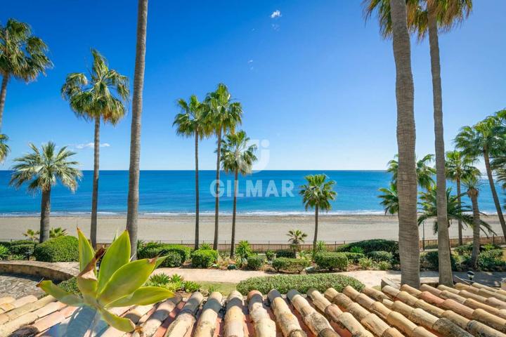 Piso - Apartamento - New Golden Mile photo 0