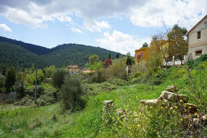 Terreno Urbanizable En venta en Cv-391, Requena photo 0